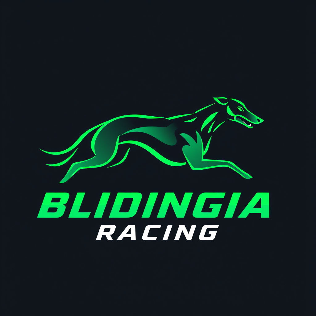 Blidingia Racing – Lund