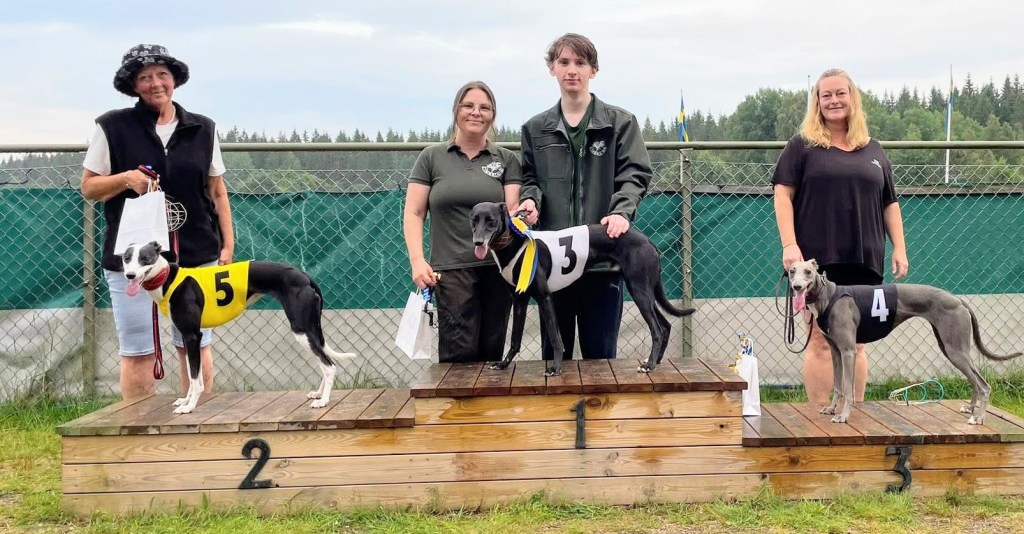 SM–final för Mosalah – Star Lord vann sitt&nbsp;lopp