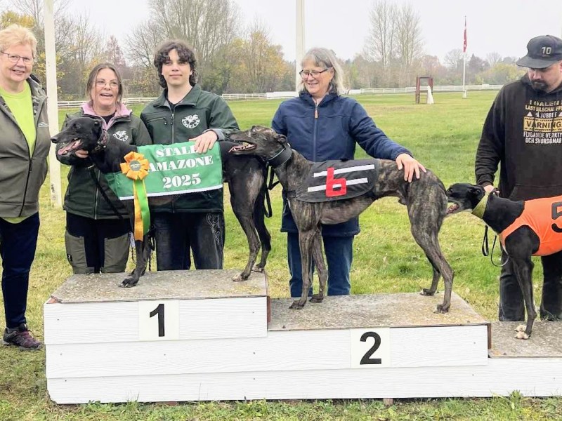 Säsongsfinal med två Stald&nbsp;Amazone-vinnare